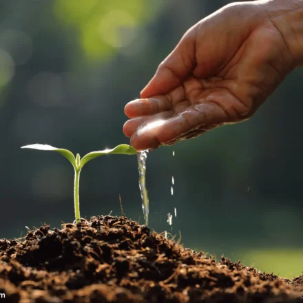 Agriculture